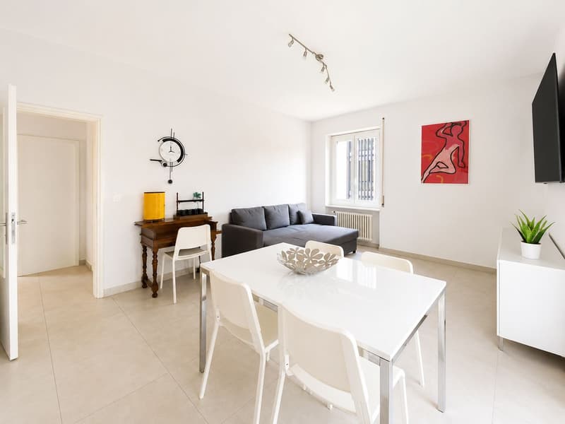 Lugano city center, spacious and bright 4.5 rooms (2)