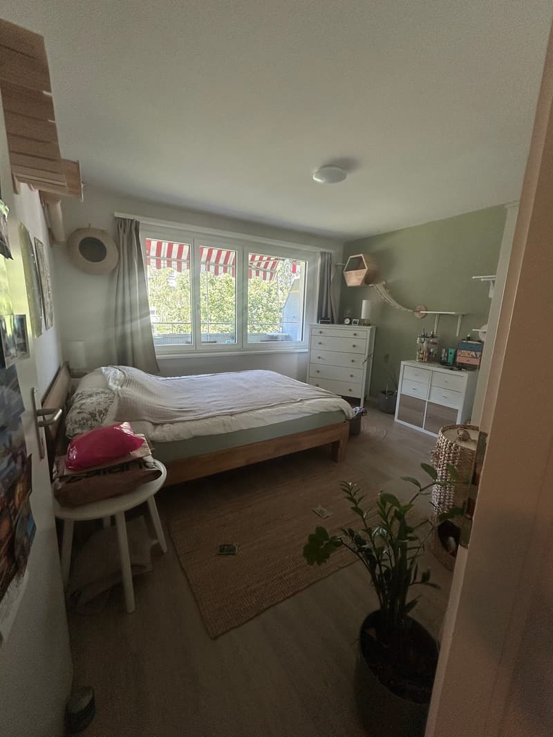 Muster Schlafzimmer mit viel Licht