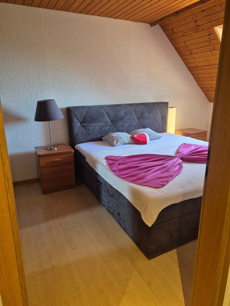 Your new, cozy home in Dottikon (4)