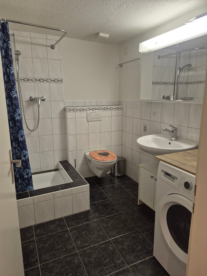 Your new, cozy home in Dottikon (7)