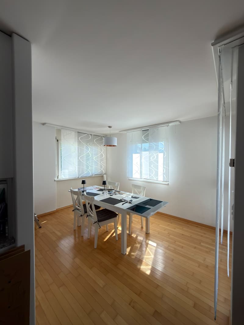 Bright cozy apartment in Bremgarten (5)