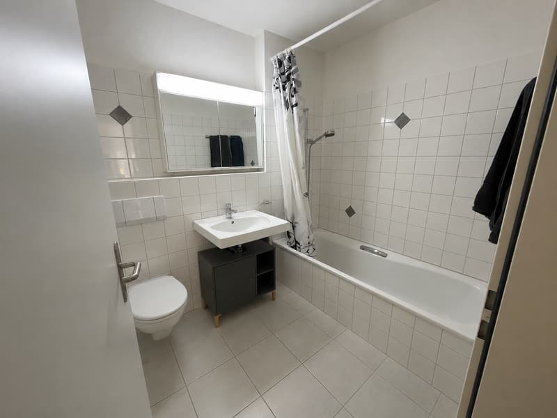 Bright cozy apartment in Bremgarten (9)