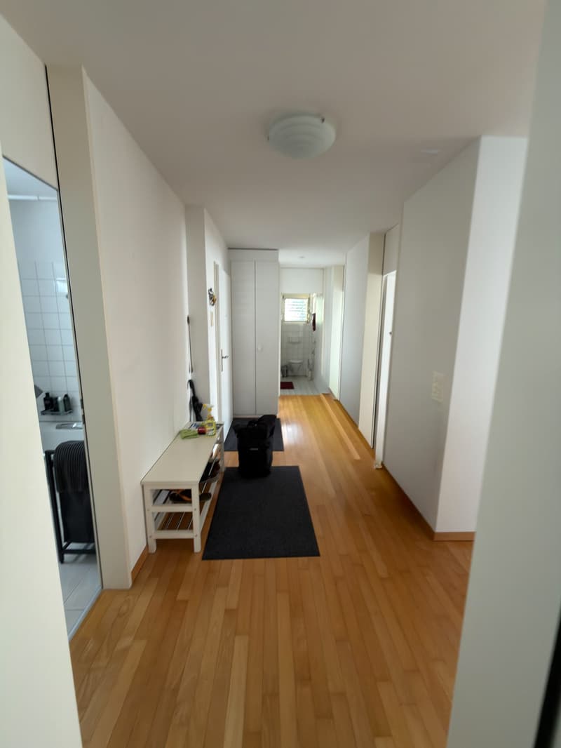 Bright cozy apartment in Bremgarten (4)