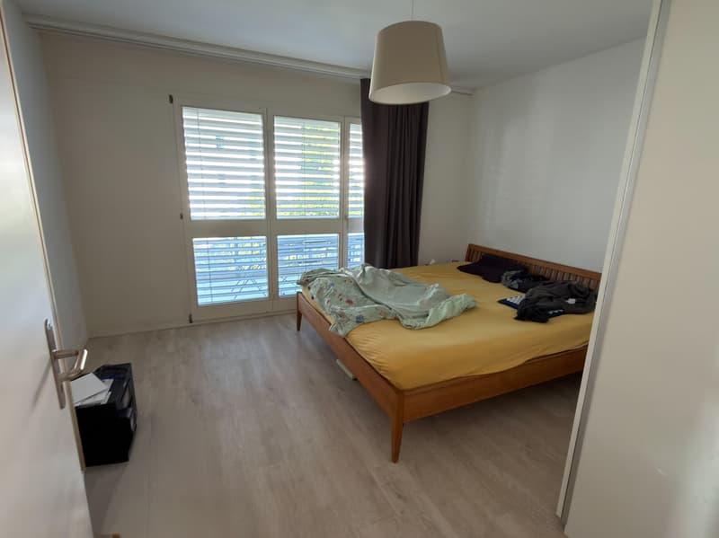 Bright cozy apartment in Bremgarten (8)