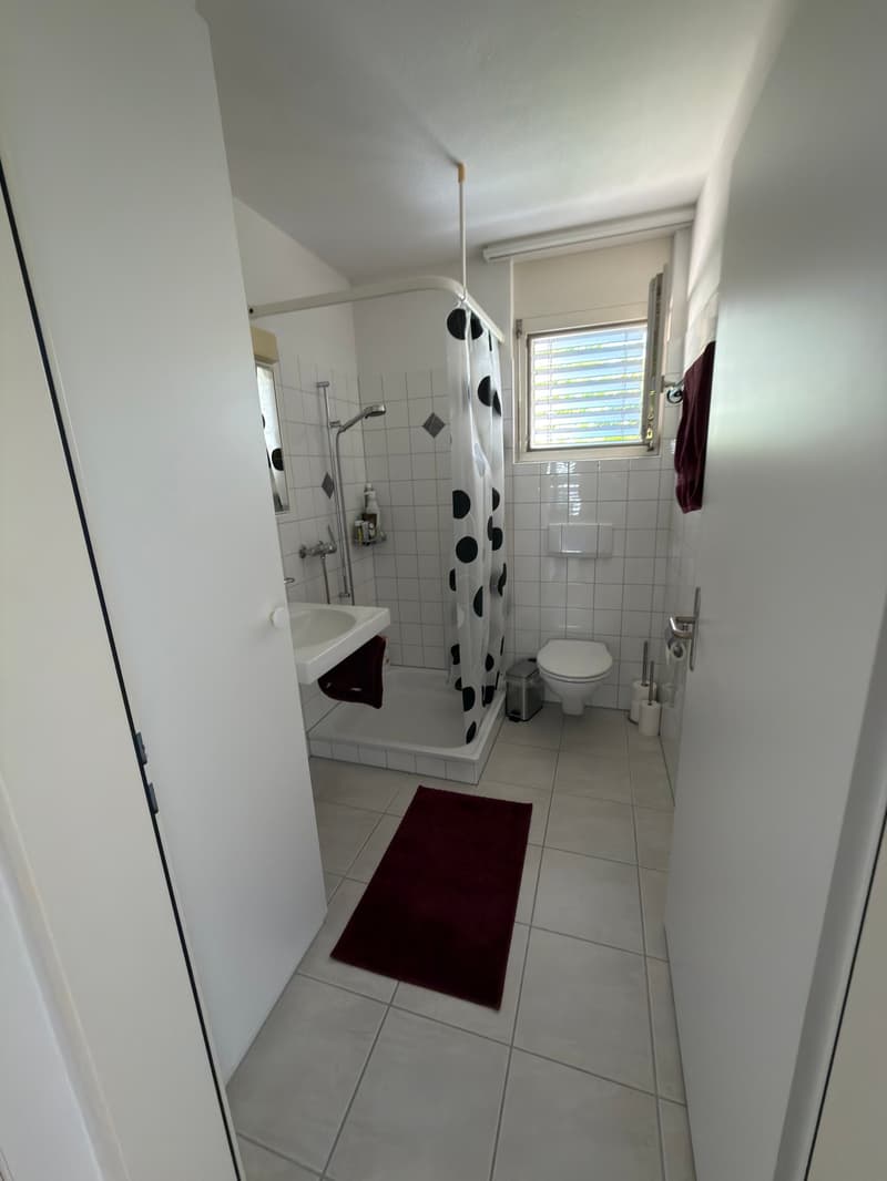 Bright cozy apartment in Bremgarten (10)