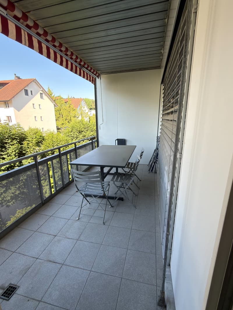 Bright cozy apartment in Bremgarten (11)