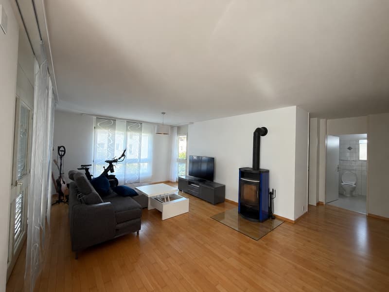 Bright cozy apartment in Bremgarten (6)