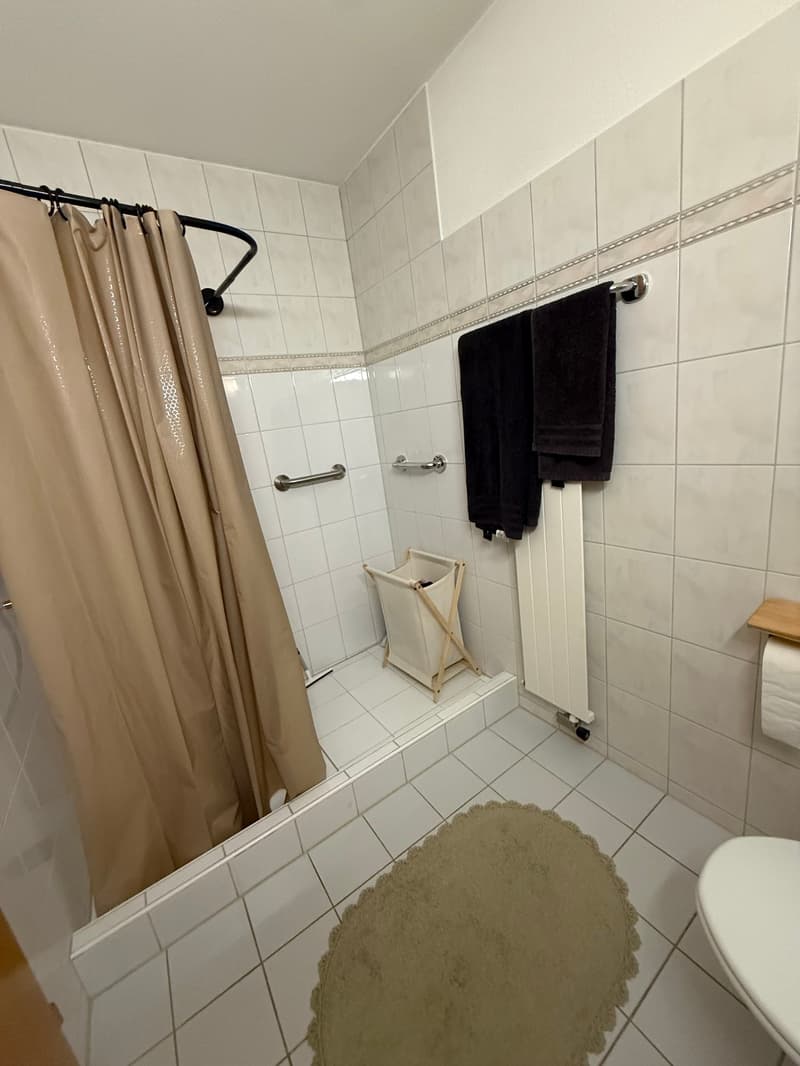 Central, bright & cozy: 2.5-room apartment in Niederwil (8)