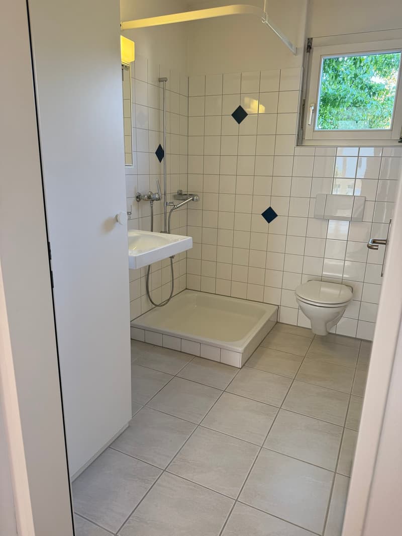 1 Mietzins geschenkt / helle gemütliche Wohnung in Bremgarten (8)