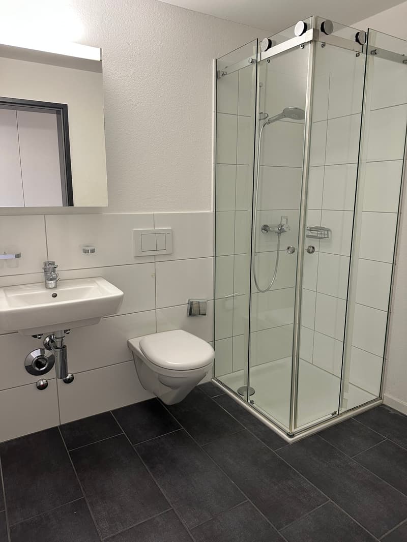 Helle 4.5-Zimmer-Wohnung mit Balkon in Bremgarten (9)