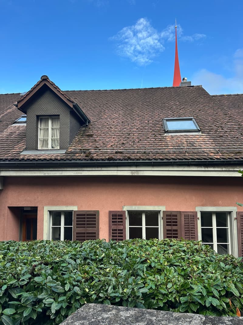 3 Zimmerwohnung in der Altstadt von Bremgarten (1)