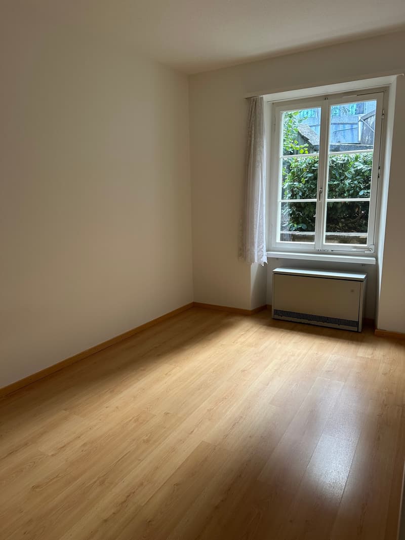 3 Zimmerwohnung in der Altstadt von Bremgarten (5)