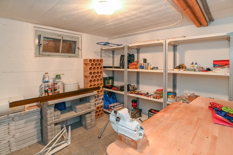 5-Zimmer-Einfamilienhaus mit grosser Gartenoase (14)