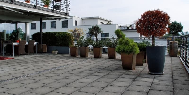 Appartamento in attico 5,5 locali per un puro piacere di vivere (7)