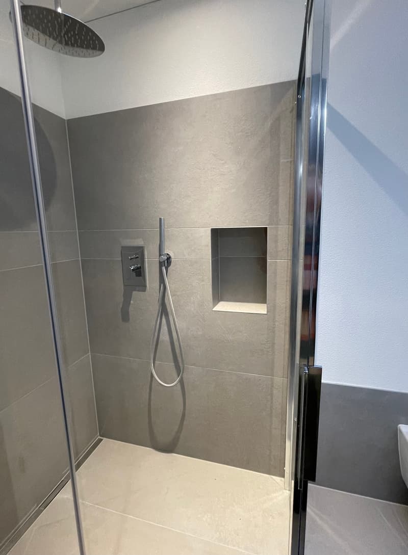 modern shower enclosure, glass shower door, tiled walls, shower faucet, recessed niche, floor drainage