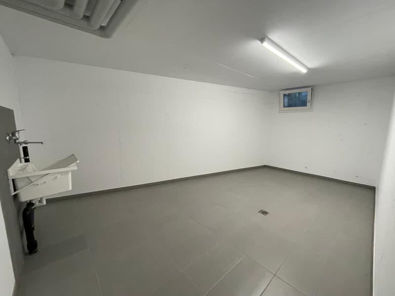 Attico duplex a Monte Carasso con ascensore interno. (9)