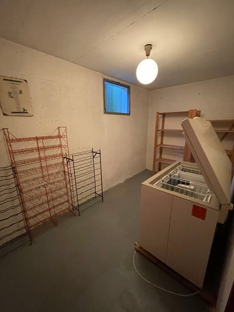 a room with white walls, gray floor, a window, a ceiling lamp, an open freezer, and storage racks