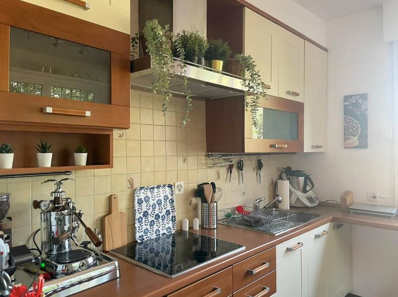 modern kitchen, white cabinets, wooden countertops, induction stove, dishwasher, washing machine, hanging plants, tiled backsplash, under-cabinet lighting, kitchen tools