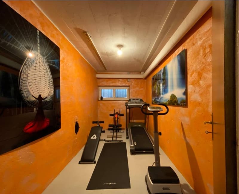 Home gym with a treadmill, weight bench, and step machine
