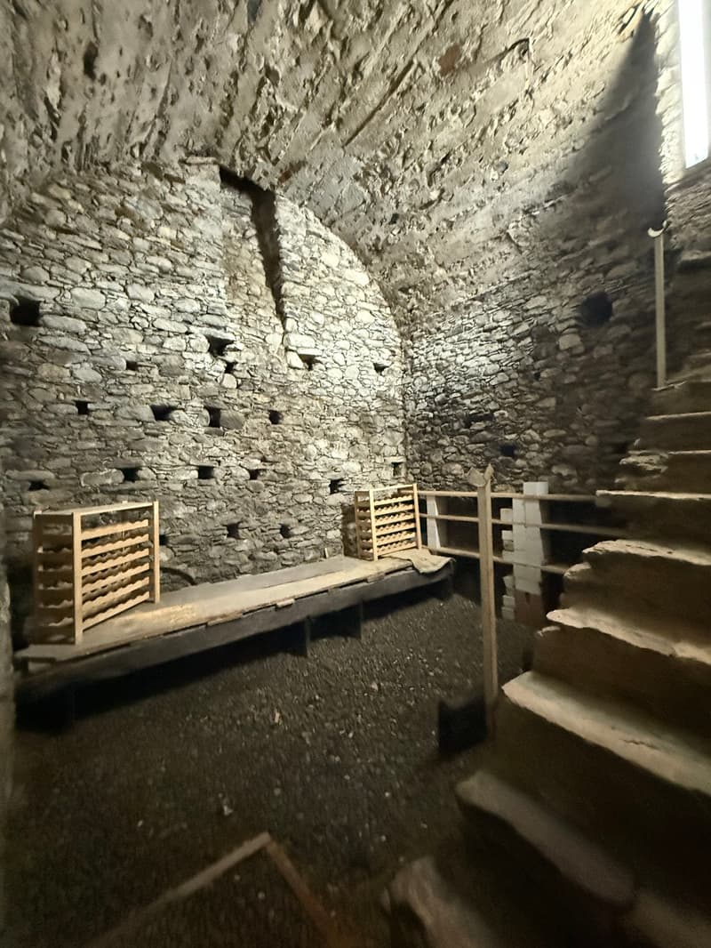 Maison unifamiliale à Giubiasco avec grand jardin et espace pour tous. (12)