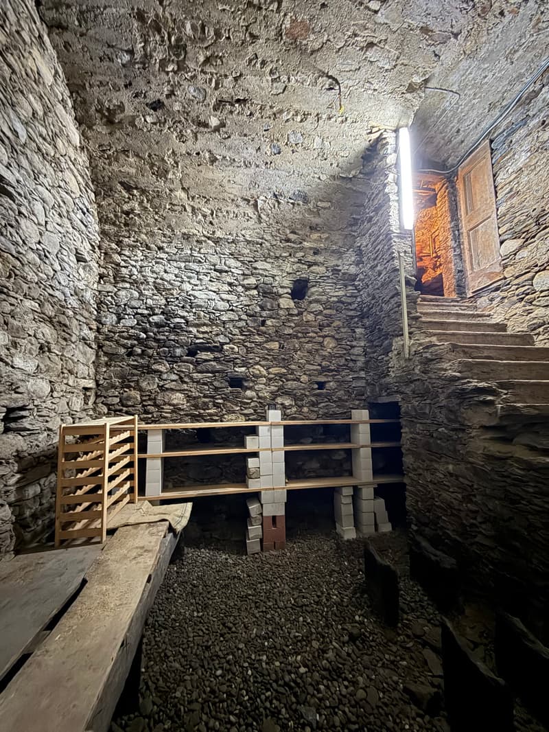 Maison unifamiliale à Giubiasco avec grand jardin et espace pour tous. (11)