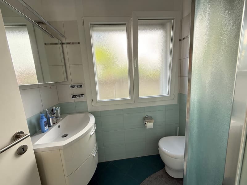 Bathroom with white sink, white toilet, glass shower, mirror, and blue tiles