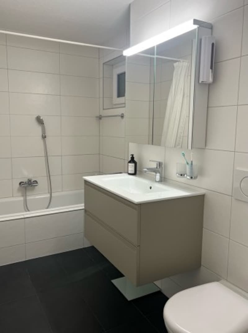 modern bathroom with bathtub, sink, mirror, and toilet