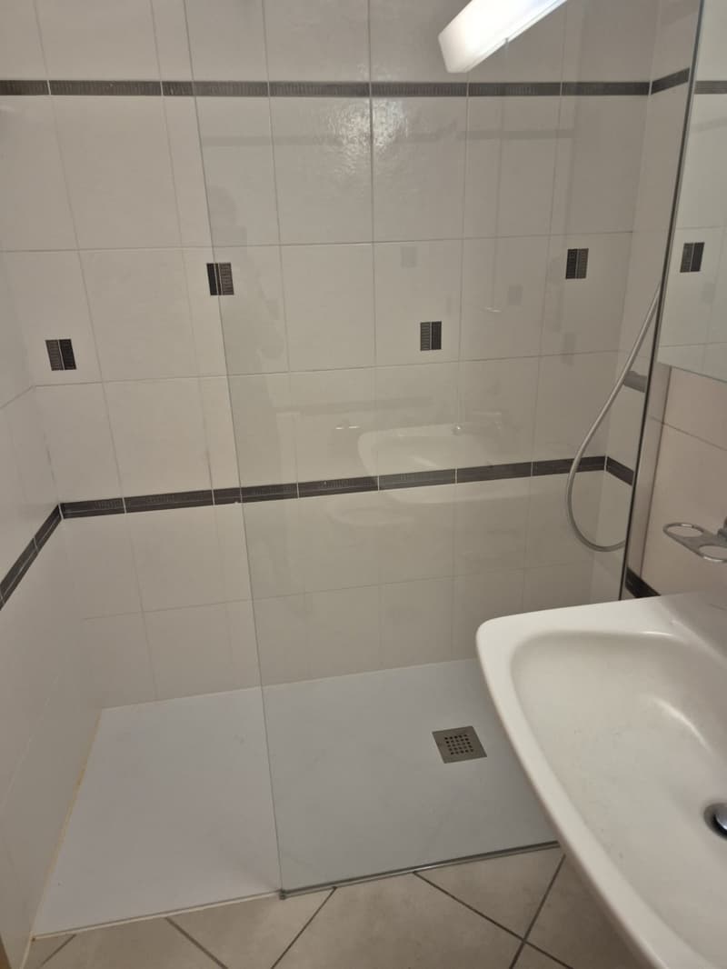 Available 3.5-room apartment in Sementina zona nucleo (6)