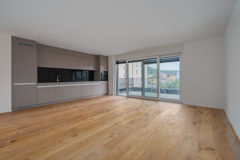 Moderno appartamento di 4.5 locali con grande terrazza (1)