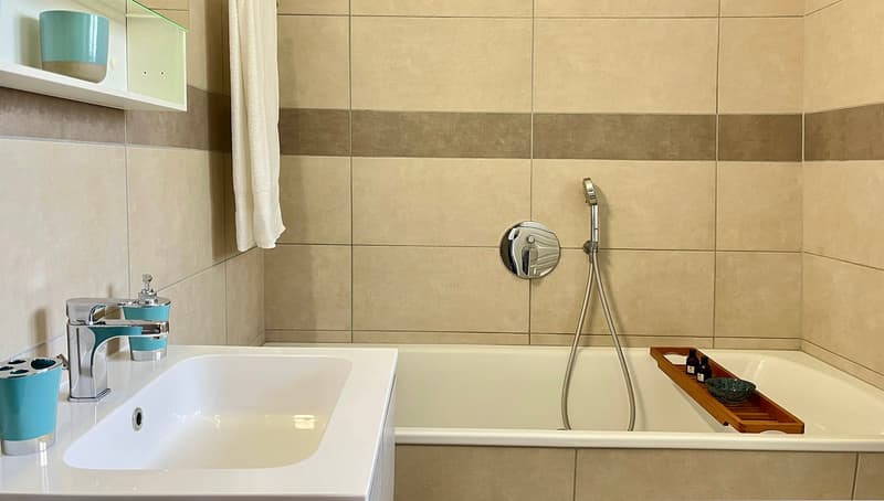 Vendesi 2.5 con ampia terrazza (35mq). (9)