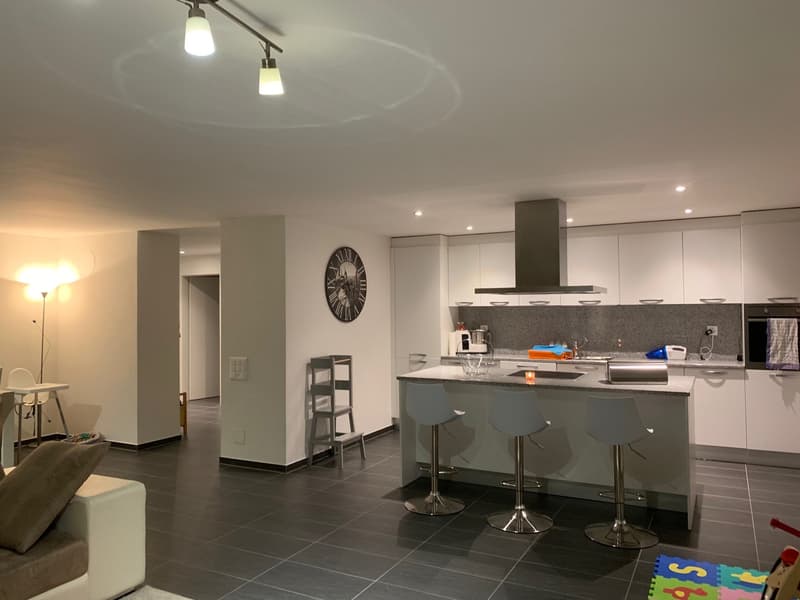 Appartamento moderno e confortevole di 4.5 locali a Bellinzona – disponibile subito (2)