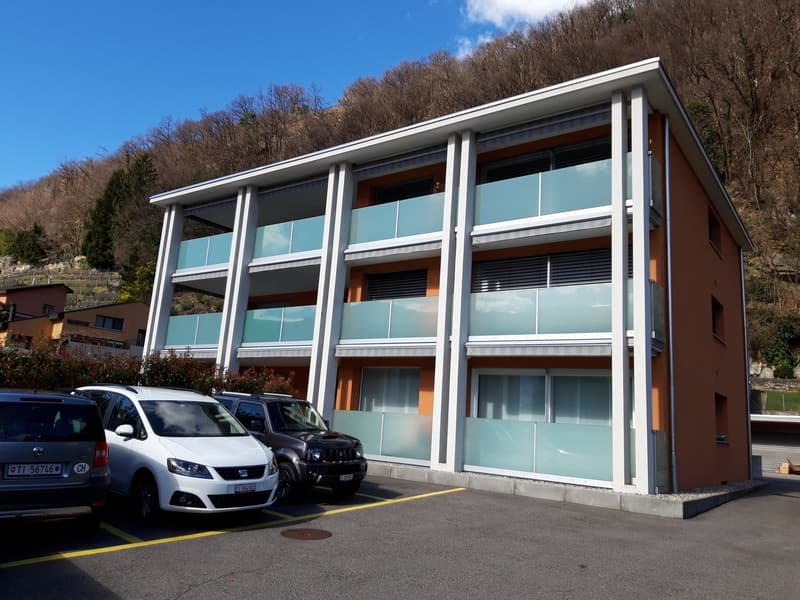 Appartamento moderno e confortevole di 4.5 locali a Bellinzona – disponibile subito (3)