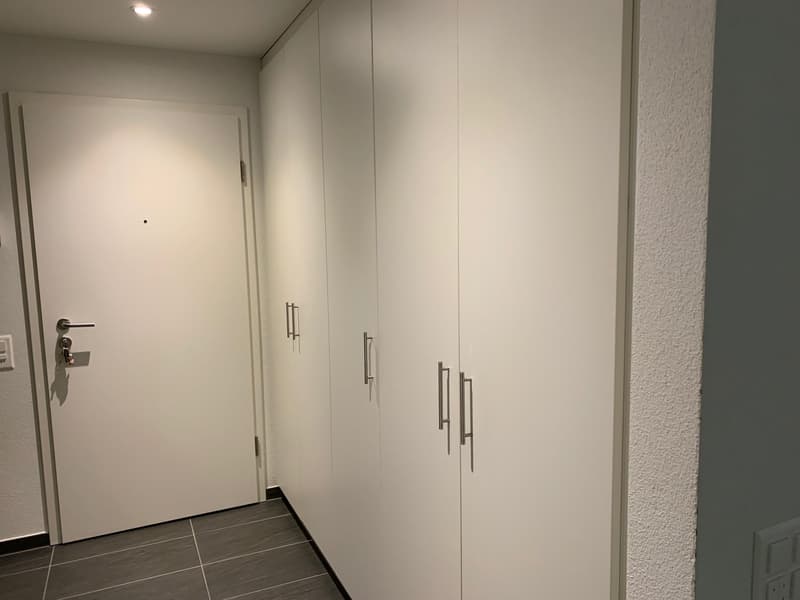 Appartamento moderno e confortevole di 4.5 locali a Bellinzona – disponibile subito (5)