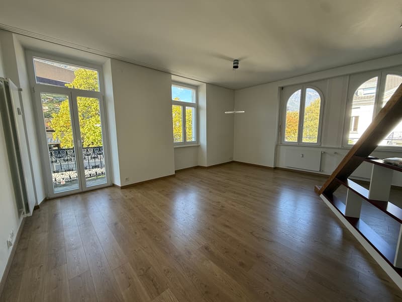 Appartamento di pregio e ricco di fascino nel centro di Bellinzona (3)
