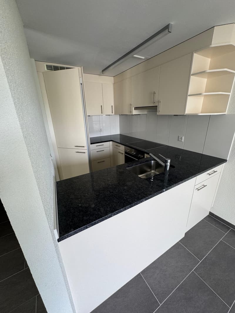 modern kitchen with granite countertop, sink, faucet, built-in appliances, and cabinets