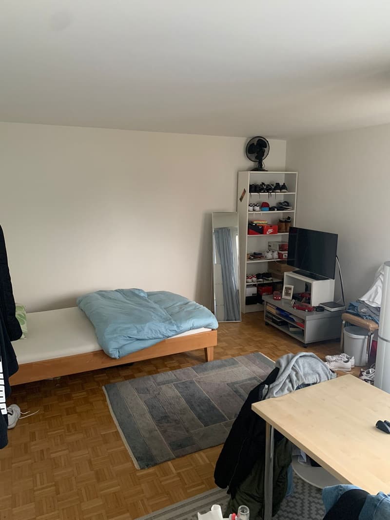Single bed, rug, desk, TV, mirror, shelves, fan, wooden floor