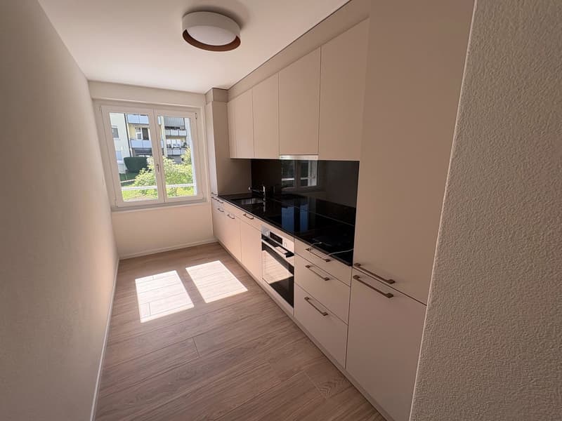 Erstvermietung mehrere moderne 2.5-Zimmer-Wohnungen nach Totalsanierung (1)