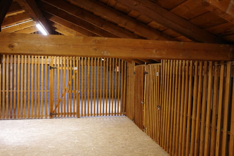 First rental of a modern 2.5-room apartment after complete renovation - with a very large private attic (13)