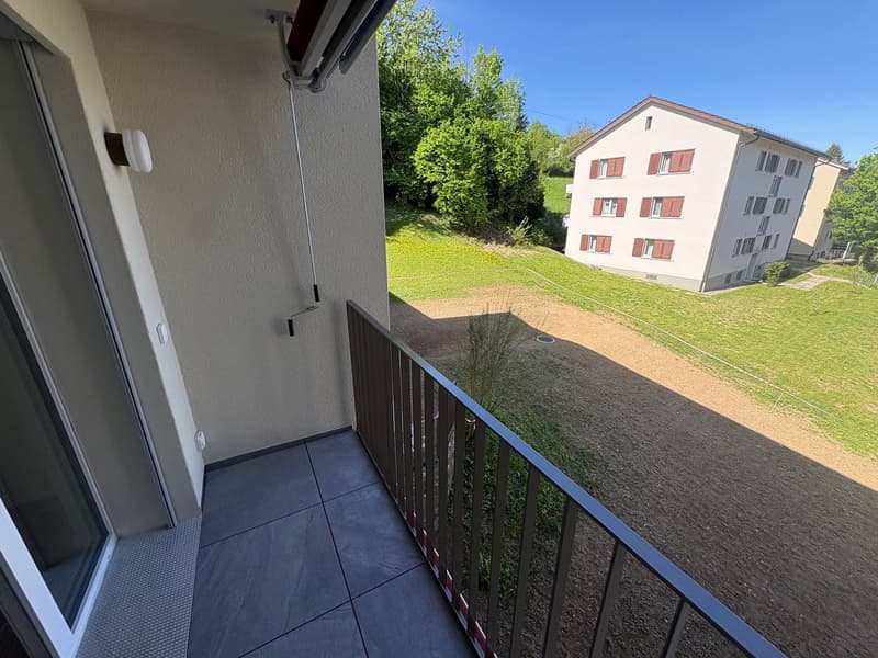 Erstvermietung mehrere moderne 2.5-Zimmer-Wohnungen nach Totalsanierung (4)