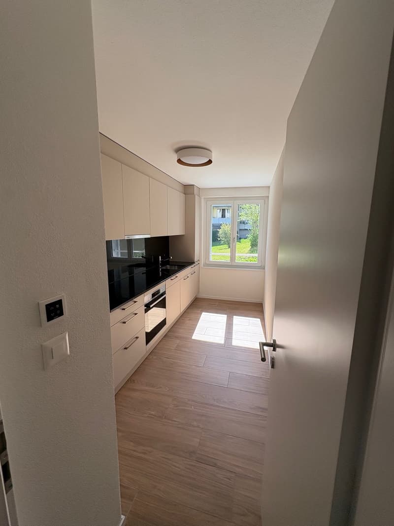 Prima locazione di un appartamento moderno di 2.5 locali con posto giardino privato (2)