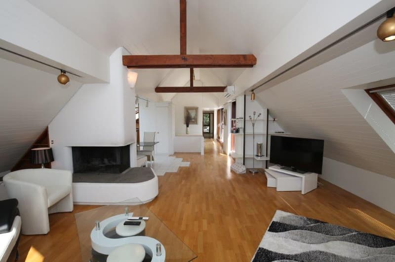 Unique penthouse with stunning lake view for rent! (4)