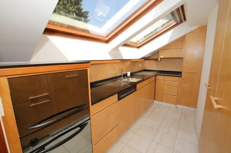Unique penthouse with stunning lake view for rent! (6)