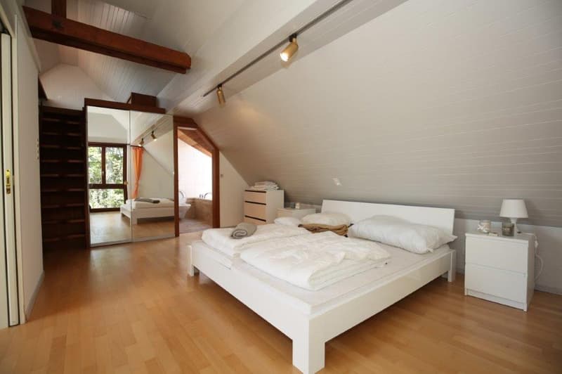 Unique penthouse with stunning lake view for rent! (10)