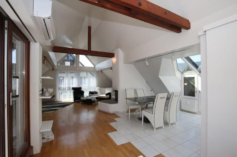 Unique penthouse with stunning lake view for rent! (3)