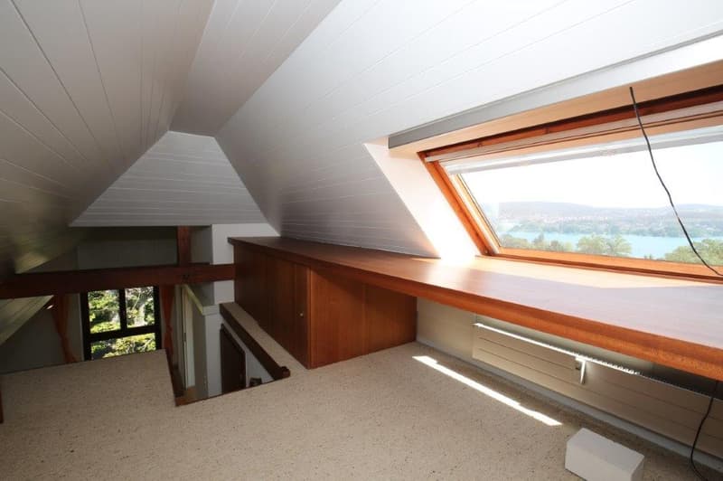 Unique penthouse with stunning lake view for rent! (13)