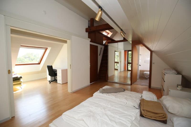 Unique penthouse with stunning lake view for rent! (11)