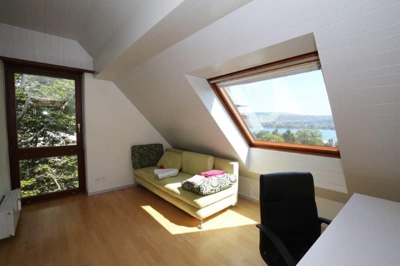 Unique penthouse with stunning lake view for rent! (8)