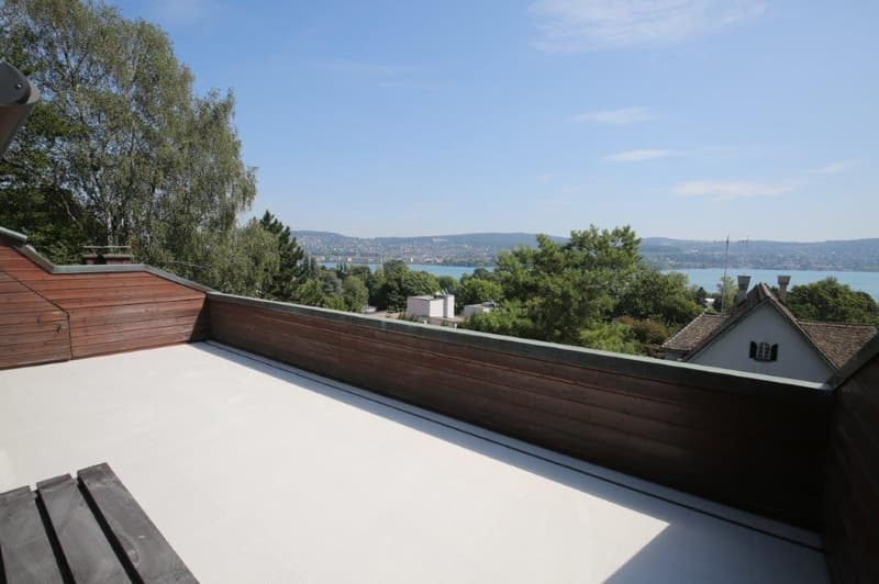 Unique penthouse with stunning lake view for rent! (1)