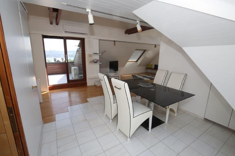 Unique penthouse with stunning lake view for rent! (5)