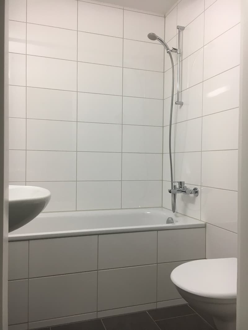 Appartement 3 pièces magnifique!! (3)